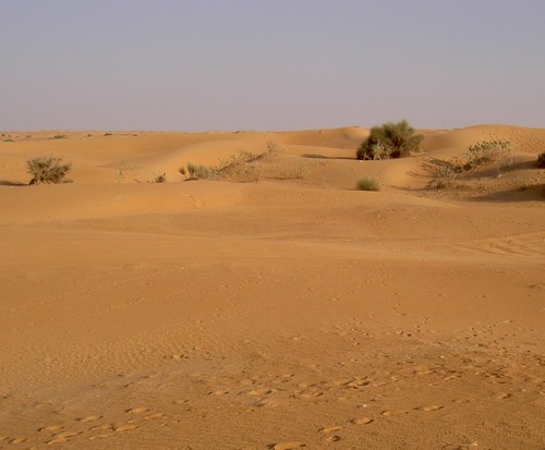 The dust racked climes of the baren land which dominates large portions of the Norgolian empire